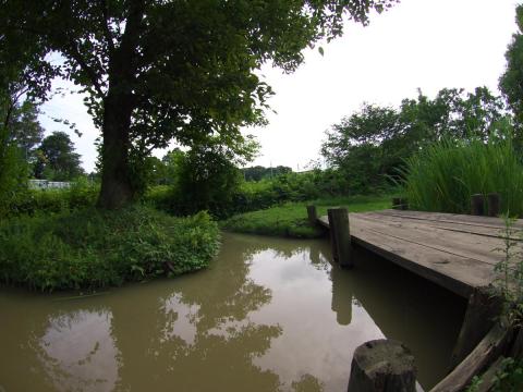 レンズ収差補正適用後