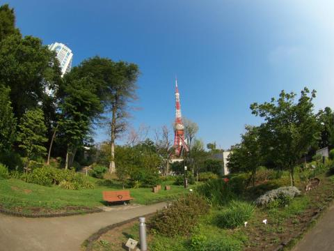 ファインカラーコントローラ_色相-4.7、彩度55.9、明度-15.0