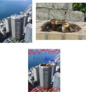 図3:元画像(左上、右上)と合成画像(中央下)