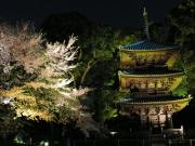 図3:HS夜景モードで撮った写真