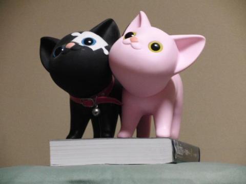 画像7:二匹の子猫