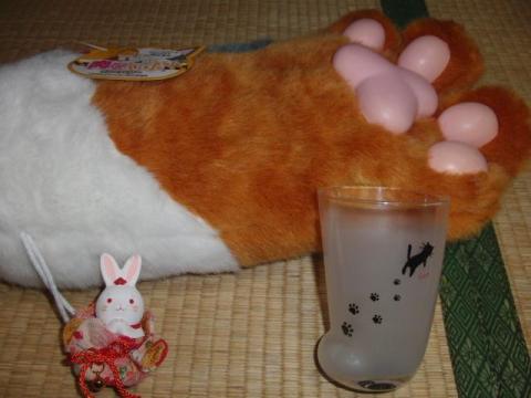 写真2:大きさ比較1