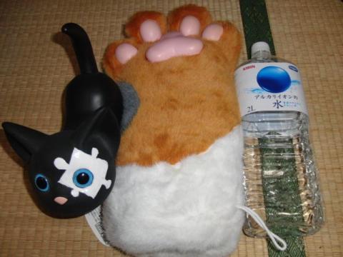 写真3:大きさ比較2