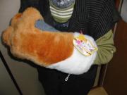 写真5:手にはめれます