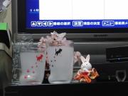 写真1:テレビ前