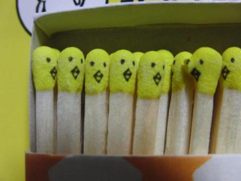 写真6:ひよこの顔がw