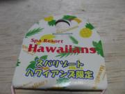 写真8:ハワイアンズストラップ