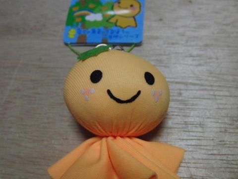 写真1 幸せのきいろいてるぼう ご当地バージョン