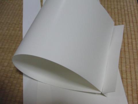 写真4 切込み入れて完成