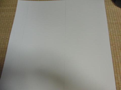 写真2 一枚のシート