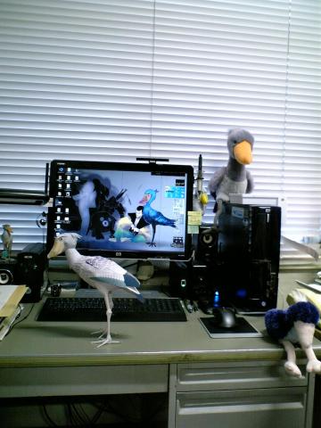 ハシビロさんたち。