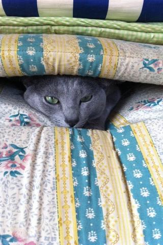 ふてくされるジジ君