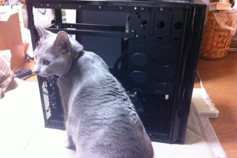 「僕のお家には狭いよ!!」