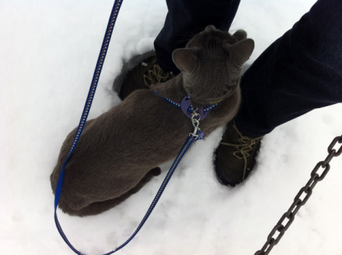 む?w去年の様な元気がない・・・・