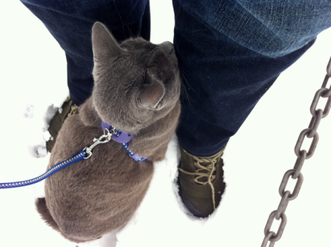 お願いぃぃ~足がつべたいの~~