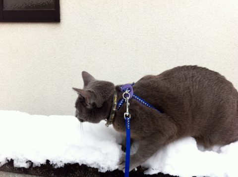 おっとビビり過ぎて足が滑ったぜ・・・・