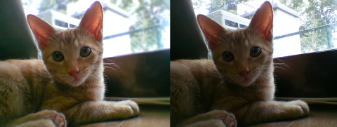 左:加工後 右:加工前