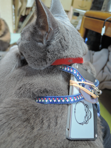 img.php?filename=mi_22504_1413610795_425