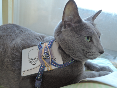 img.php?filename=mi_22504_1413610942_210