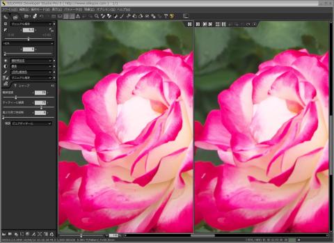 シャープ比較(左 ピュアデティール、右 なし)