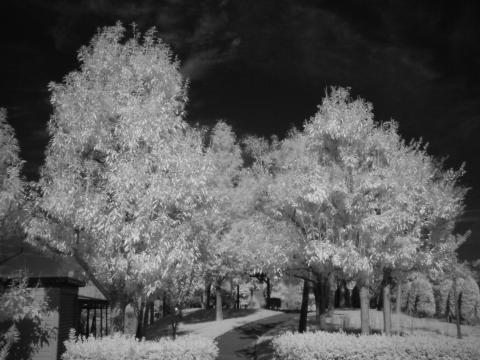 F537IR IRフィルター有り