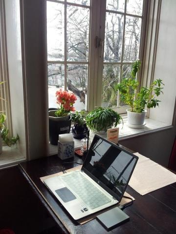 行きつけのお店で