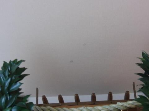 天井固定用の画鋲(白)