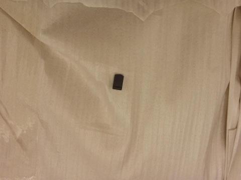 何か折れた爪部分・・・(不明)