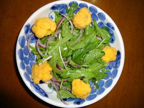 サラダ