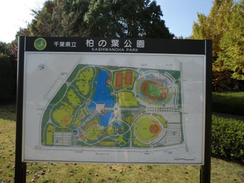 柏の葉公園、着いた!