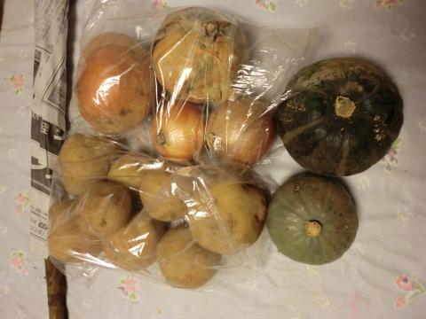 届いた野菜2
