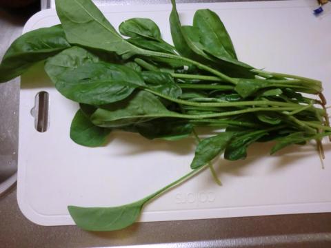 ほうれん草