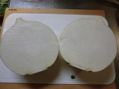 大根2