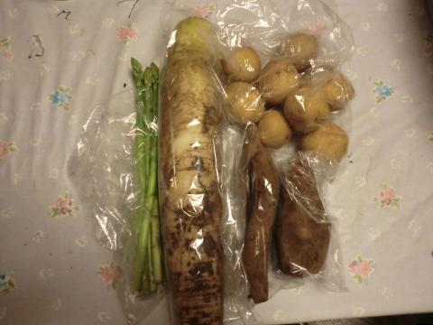 野菜届きました