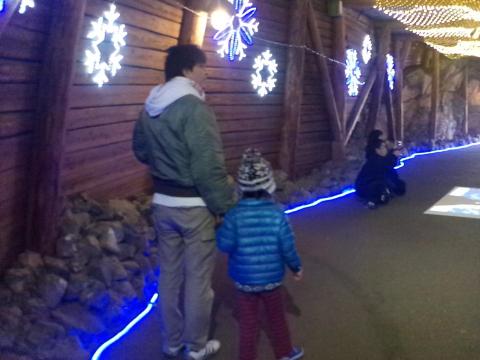 イルミネーション