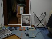 ジガゾーパズル(完成)