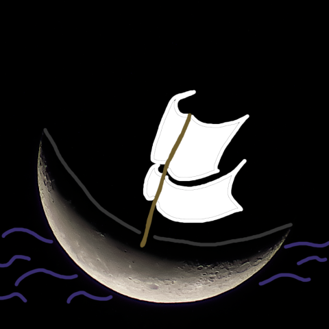 じっと見ていたらなんだかこんな感じに…なんだか乗れそうかも?