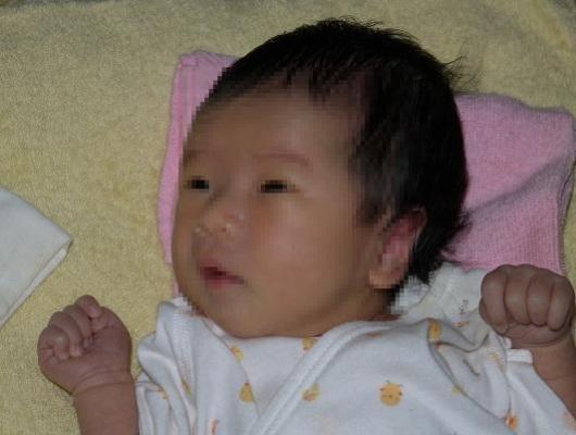 画像 プレミアムレビュー 素材辞典 Net フリーセレクト です 素材辞典 Net フリーセレクトのレビュー ジグソー レビューメディア