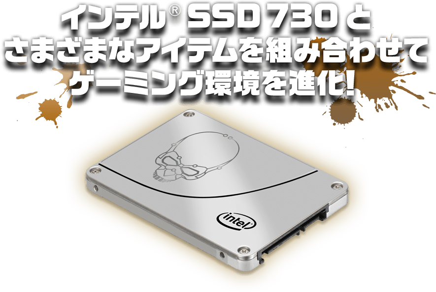 インテル® SSD 730 とさまざまなアイテムを組み合わせてゲーミング環境を進化！